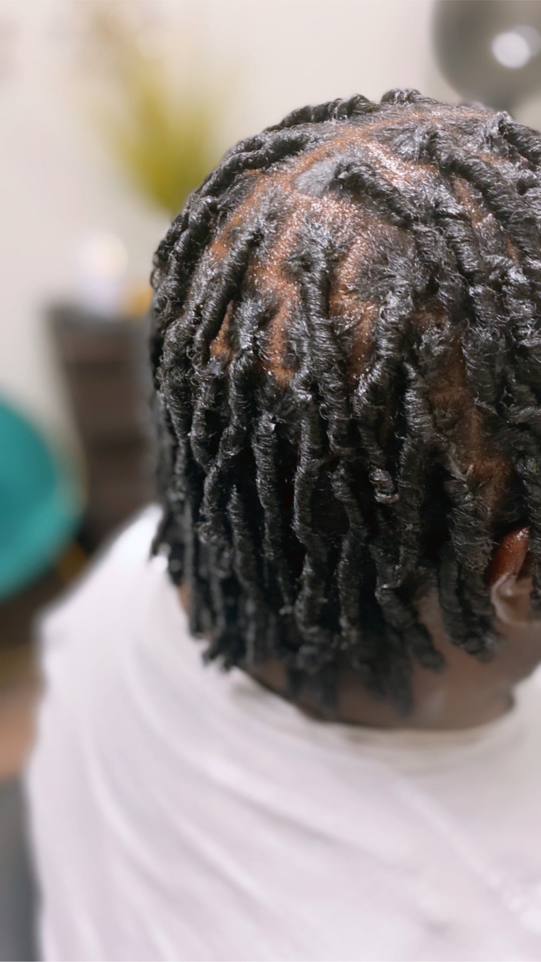 Starter Locs with Hair Cleansing